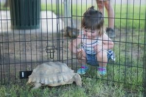 Android the Truth Spy Install