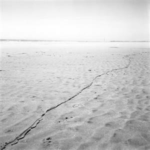 Download Free Spy Software for Android