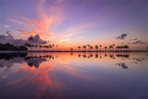 Free Call Spy Android