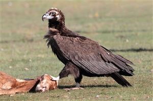 Best Software to Spy on Android Phone