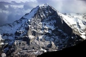 Download Spy Phone for Whatsapp Android Free