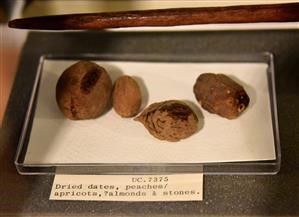 Pegasus Spyware Android Check