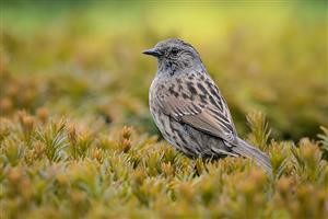 What Is the Best Android Spy Software