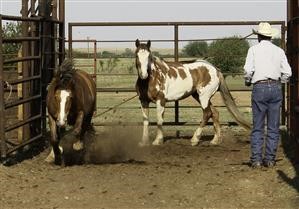 Android Spy Monitoring